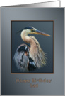 Birthday, Dad, Great Blue Heron Bird on Gray and Silver card