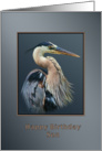 Birthday, Son, Great Blue Heron Bird on Gray and Silver card