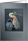 Birthday, Brother-in-law, Great Blue Heron Bird on Gray and Silver card