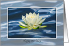 Birthday, Water Lily on Water, Religious card