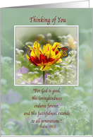 Thinking of You, Tulip and Butterfly card