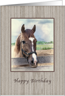 Birthday, Brown Horse with Bridle card