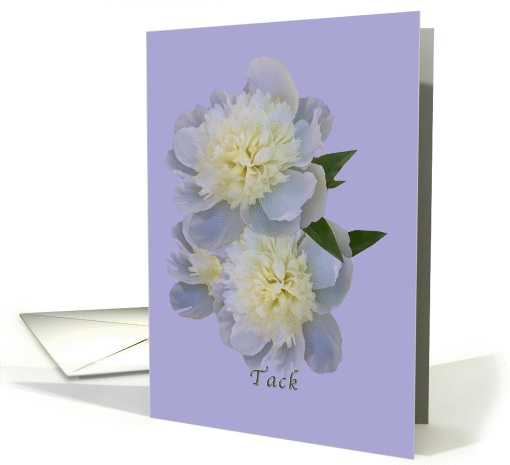 Thank You, Swedish, Tack, White Peony Flowers card (1030633)