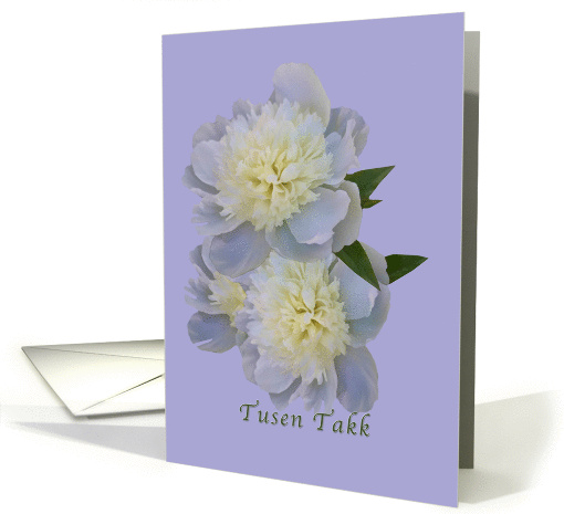 Thank You, Norwegian, Tusen Takk, White Peony Flowers card (1030649)