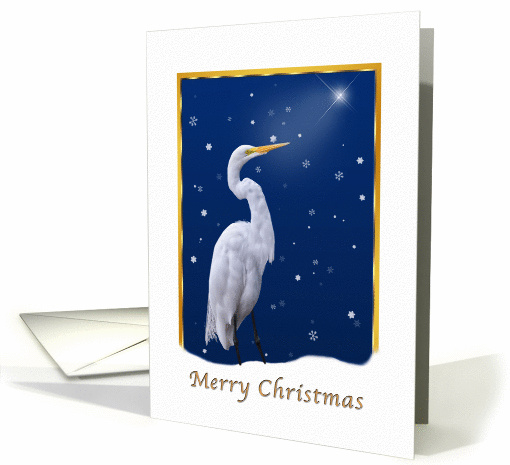 Christmas, Great Egret Bird, Religious card (104499)