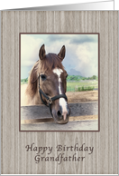 Birthday, Grandfather, Brown and White Horse card