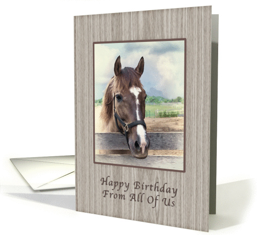 Birthday, From All, Brown and White Horse card (1045423)