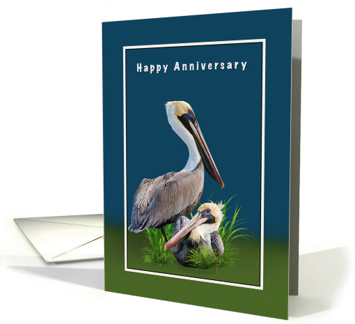 Anniversary, For Couple, Two Brown Pelicans card (1049733)