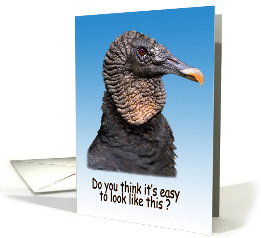 Birthday, Black Vulture Bird card (105365)