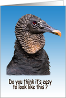 Birthday, Black Vulture Bird card