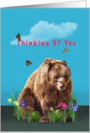 Thinking of You, Bear, Butterflies, and Flowers card