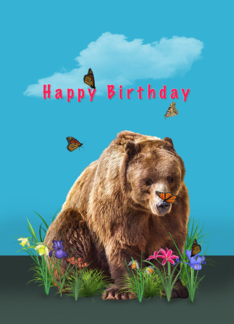 Birthday, Bear,...