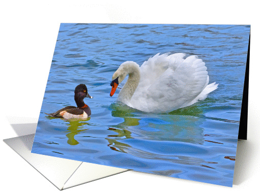 Swan and Duck Blank card (106088)