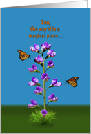 Birthday, Son, Sweet Peas and Butterflies, Humor card