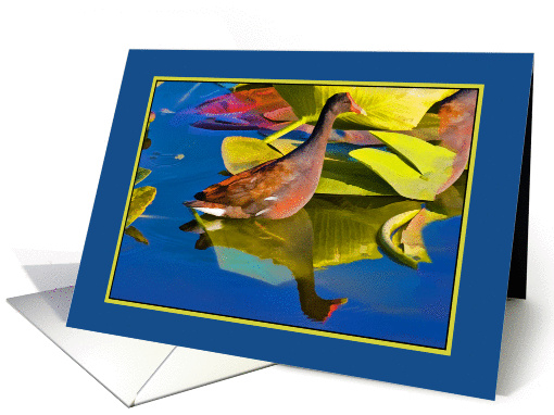 Thinking of You, Gallinule Bird at Pond card (107347)