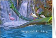 Birthday, 87th, Tropical Waterfall, Flamingos and Ibises card