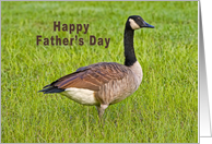 Father’s Day, Canada Goose Bird card