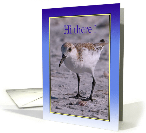 Thinking of You, Plover Shore Bird card (114002)
