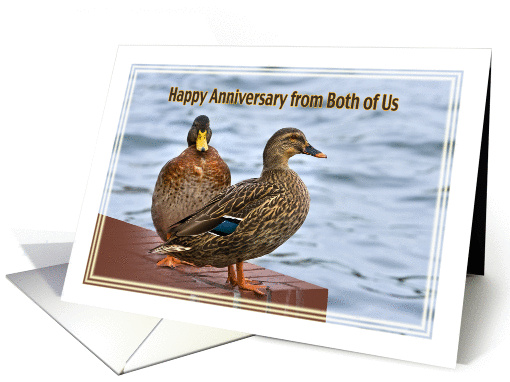 Anniversary, From Both of Us, Mallard Ducks card (114072)
