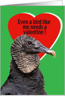 Valentine Card with Black Vulture card