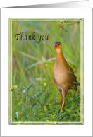 Thank You, Bird in Meadow card