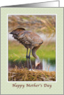 Mother’s Day Card with Crane Nest card