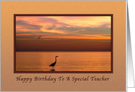 Birthday, Teacher, Ocean Sunset with Birds card