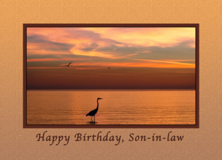 Birthday, Son-in-law...