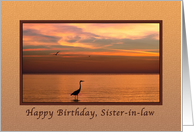 Birthday, Sister-in-law, Ocean Sunset with Birds card