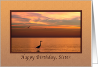 Birthday, Sister, Ocean Sunset with Birds card