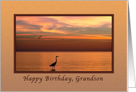 Birthday, Grandson, Ocean Sunset with Birds card
