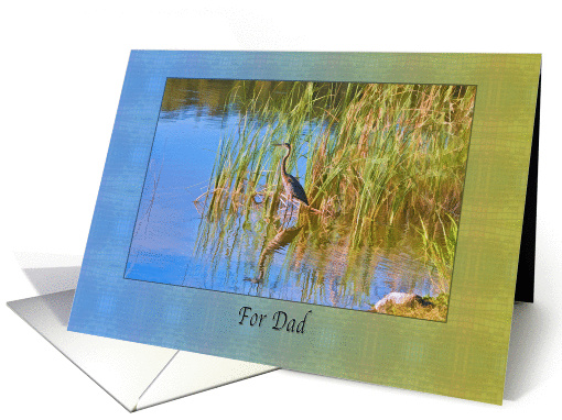 Birthday, Dad, Tricolored Heron, Reflections card (118745)