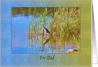 Birthday, Dad, Tricolored Heron, Reflections card