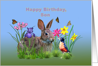 Birthday, Son, Bunny Rabbit, Robin, and Flowers card