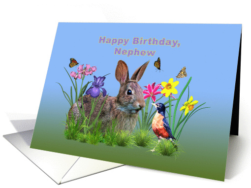 Birthday, Nephew, Bunny Rabbit, Robin, and Flowers card (1261856)