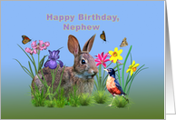 Birthday, Nephew, Bunny Rabbit, Robin, and Flowers card