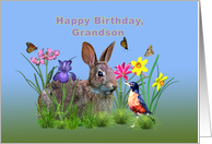 Birthday, Grandson,...