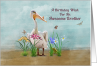 Birthday, Brother, Pelican, Flowers and Butterflies card