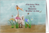Birthday, Brother-in-law, Pelican, Flowers and Butterflies card