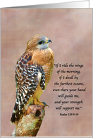 Encouragement and Hope, Religious, Hawk on a Limb card