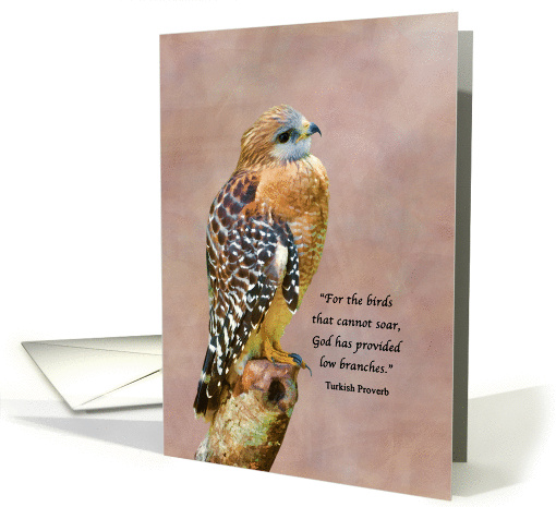 Encouragement, Get Well, Spiritual, Hawk on a Limb card (1324642)