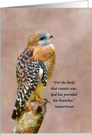 Encouragement, Get Well, Spiritual, Hawk on a Limb card