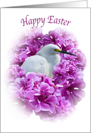  Easter Card with Snowy Egret card