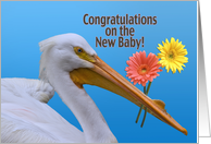 Congratulations, White Pelican, Flowers card