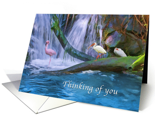 Thinking of You, Tropical Waterfall, Flamingos, Ibises card (171015)