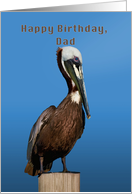 Birthday, Dad, Brown Pelican card