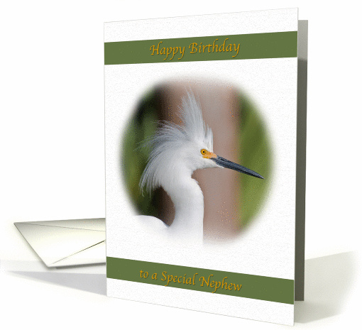 Nephew Birthday Card with Snowy Egret card (380447)