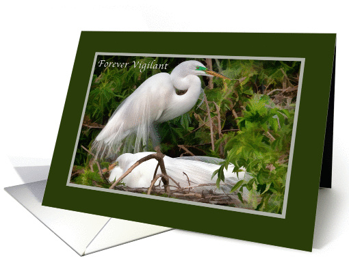 Father's Day, Nesting Great Egret Birds card (388901)
