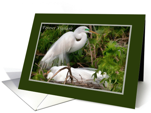 Father's Birthday, Nesting Great Egrets card (388905)