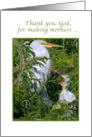 Mother’s Day Card with Baby Egret card